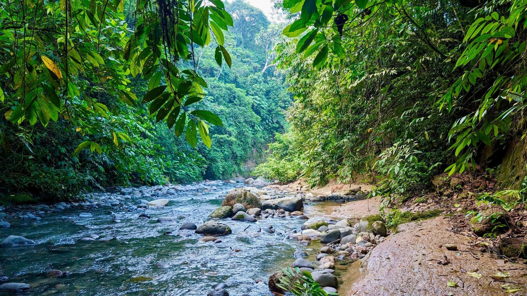 Heimatlos Amazon Lodge Puyo Exterior foto